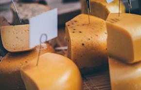 Cardigan River & Food Festival